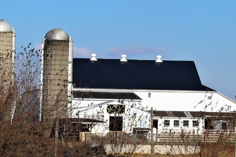 black metal roofing in paradise pa