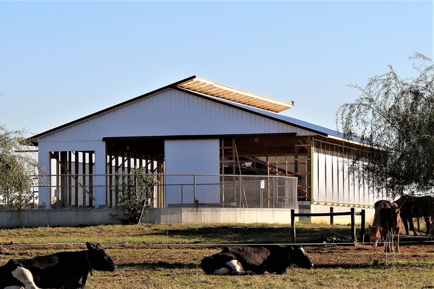 metal sided barn with bright white siding and galvalume metal rofing