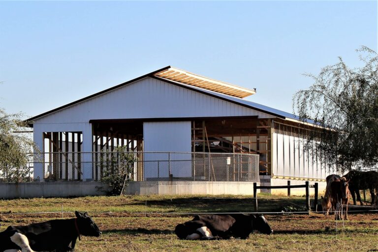 metal sided barn with bright white siding and galvalume metal rofing